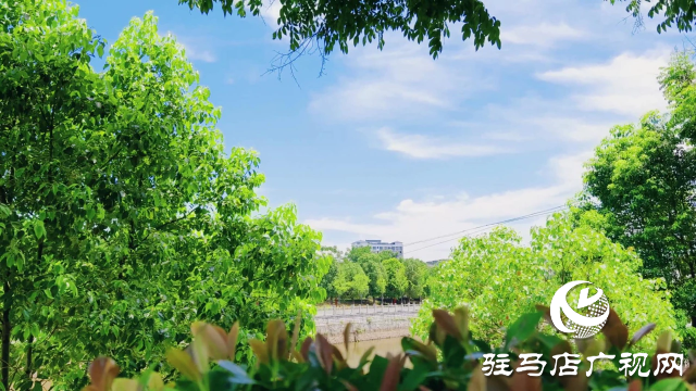天朗气清 蓝天白云绘就美丽画卷