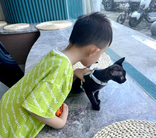 夏季狂犬病进入高发期 撩猫逗狗须有所防范