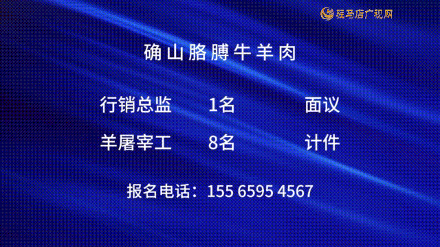 39《 你好！创客先锋派》确山胳膊牛羊肉探岗行动