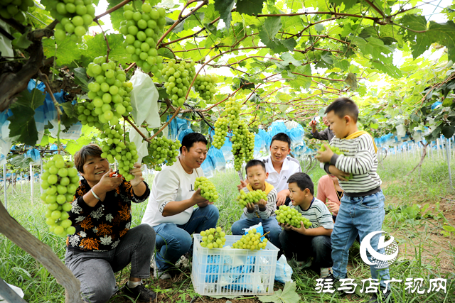 田园风光好 暑期打卡地