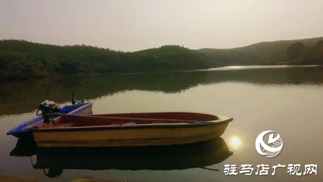 高邑大桥公园：泌阳县的生态绿洲 夏日避暑好去处