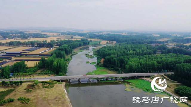 高邑大桥公园：泌阳县的生态绿洲 夏日避暑好去处