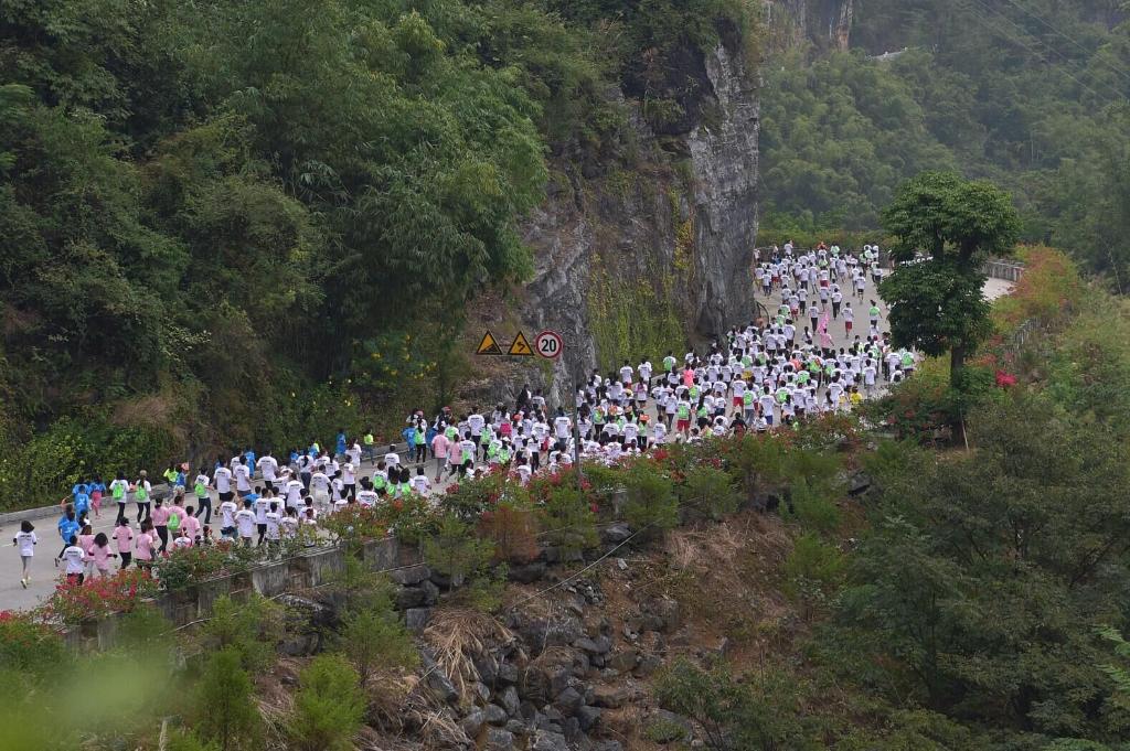 时光相册丨弄拉的重生：荒山披绿 穷岭生金