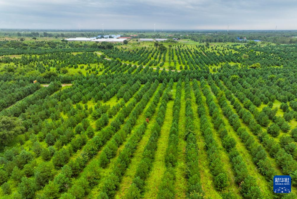 飞阅中国｜东北地区筑牢生态屏障