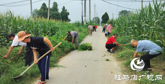 驿城区朱古洞乡：党建引领抓整治 和美乡村焕新颜