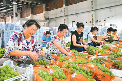 今年1至7月，全国网上零售额8.38万亿元