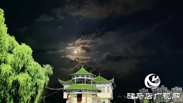 泌阳县泌水河公园：璀璨灯光扮靓小城夜景