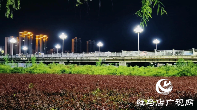 泌阳县泌水河公园：璀璨灯光扮靓小城夜景