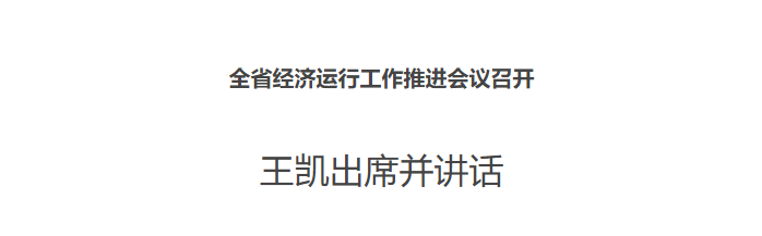 全省经济运行工作推进会议召开 王凯出席并讲话