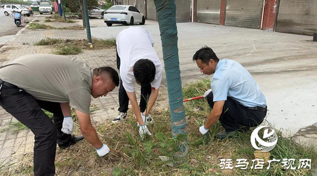 确山县任店镇：开展环境卫生整治 着力打造美丽乡镇