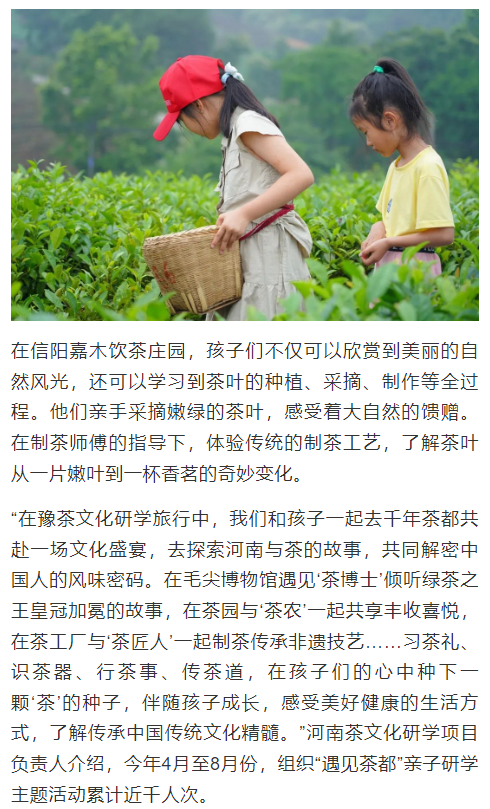 河南研学游“热”力十足！新场景如何助力“行走的课堂”？