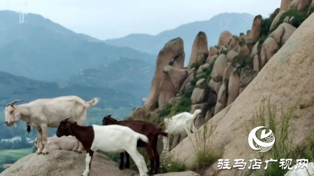 泌阳县蛤蟆山：风光旖旎如画