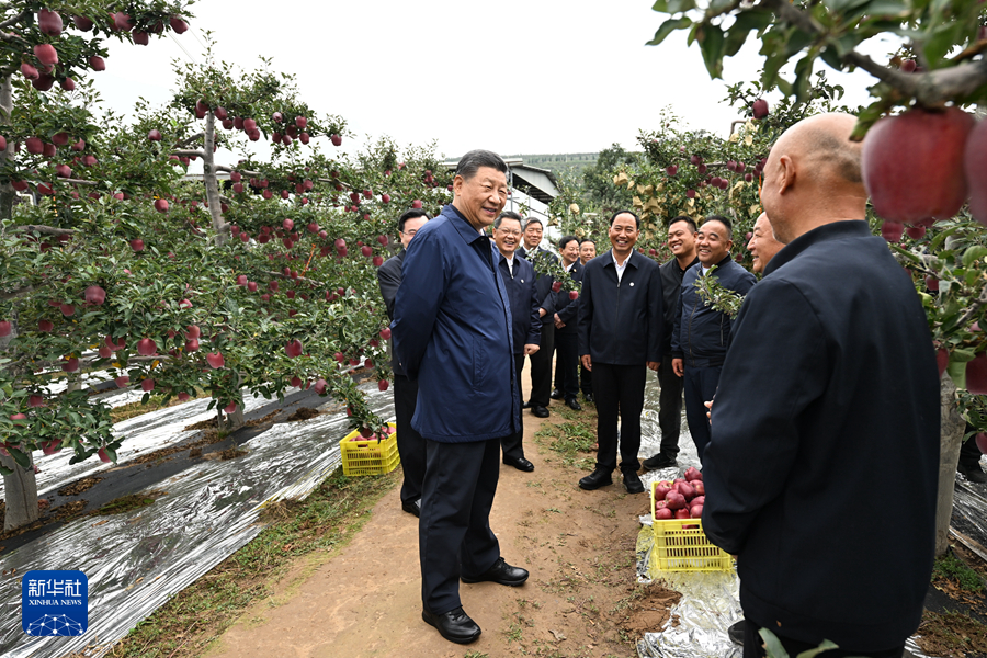 习近平在甘肃考察时强调 深化改革勇于创新苦干实干富民兴陇 奋力谱写中国式现代化甘肃篇章