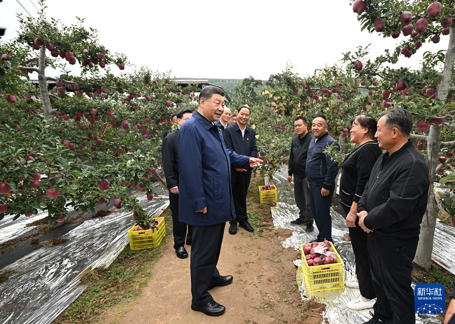 习近平在甘肃考察时强调 深化改革勇于创新苦干实干富民兴陇 奋力谱写中国式现代化甘肃篇章