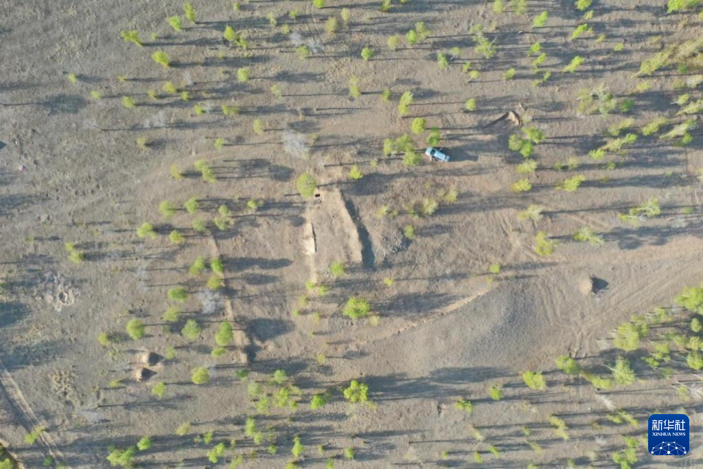 内蒙古发现红山文化考古出土的体量最大玉龙