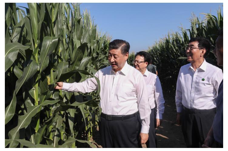 学习进行时丨“让农民腰包越来越鼓、生活越来越美好”——习近平总书记走进田间地头话“三农”