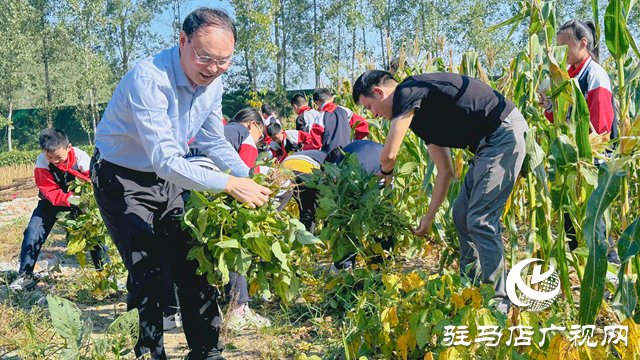 体验丰收快乐 收获成长果实