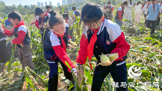 体验丰收快乐 收获成长果实