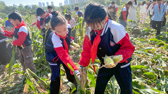 体验丰收快乐 收获成长果实