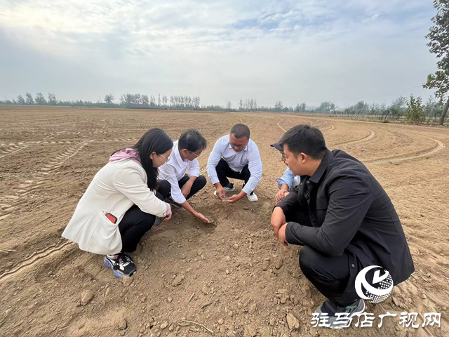 驻马店农技人员指导麦播期小麦草害防治