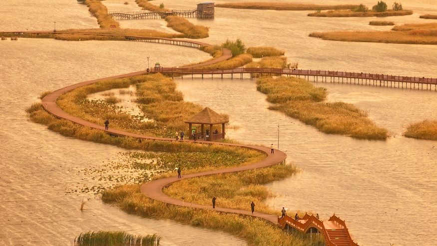 富锦湿地 秋景如画