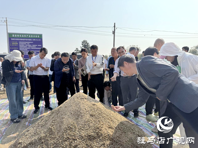 驻马店：良种良法有机融合 芝麻机收喜获成功