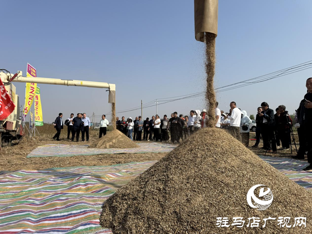 驻马店：良种良法有机融合 芝麻机收喜获成功