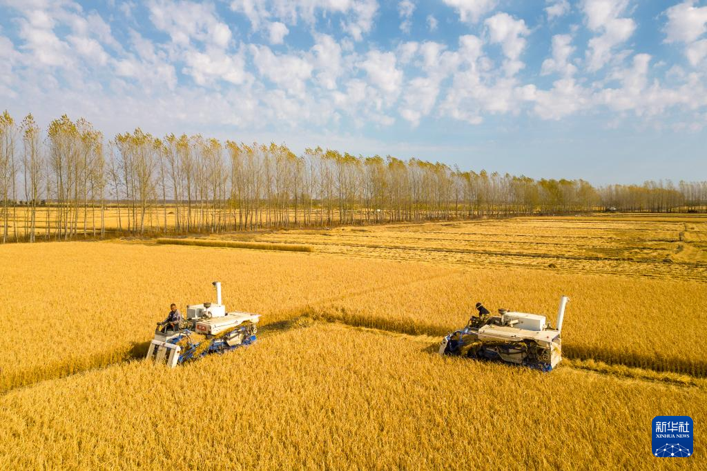 当好国家粮食稳产保供“压舱石”——“大粮仓”黑龙江秋收图景扫描