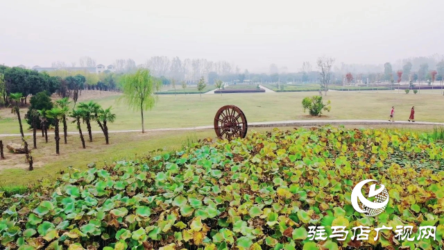 泌阳汉风公园，秋日里的粉色梦境