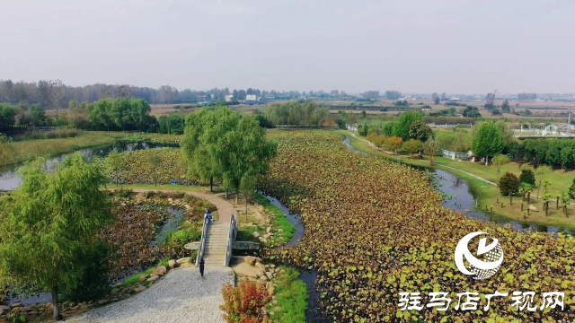 泌阳汉风公园，秋日里的粉色梦境