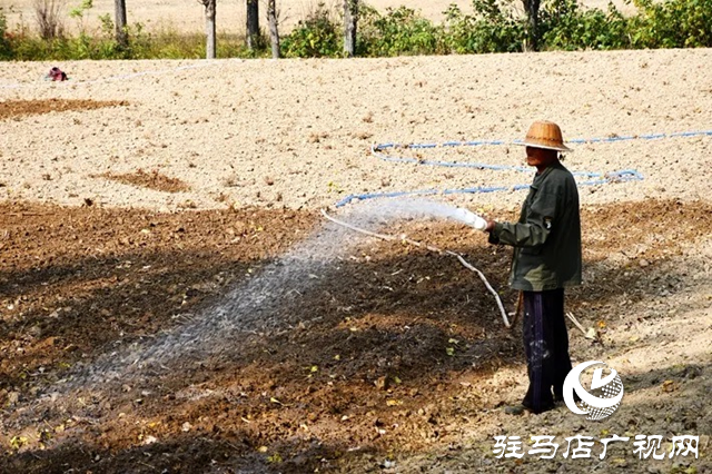 遂平县：实施节水灌溉 全力补水保苗