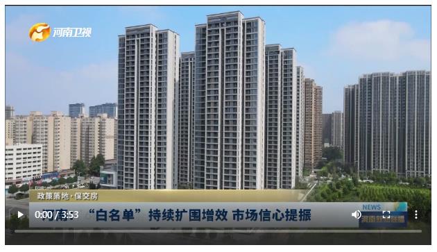 河南：“白名单”持续扩围增效 市场信心提振丨政策落地·保交房