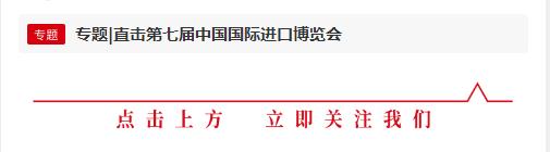 超2000家豫企组团逛第七届进博会，都要买点啥？