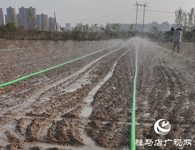 驿城区水屯镇：灌饱“蒙头水” 力促小麦出全苗