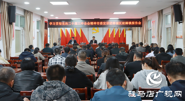 学习贯彻党的二十届三中全会精神市委宣讲团报告会在驿城区蚁蜂镇举行