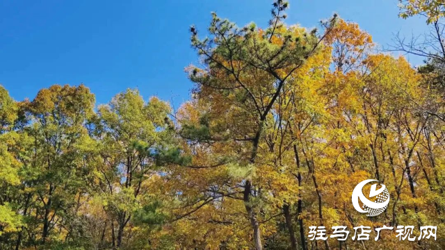 铜山湖之美：人在岸边走 似在画中游