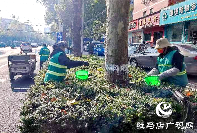 驻马店经济开发区：树木“穿新衣” 美化环境“迎寒冬”