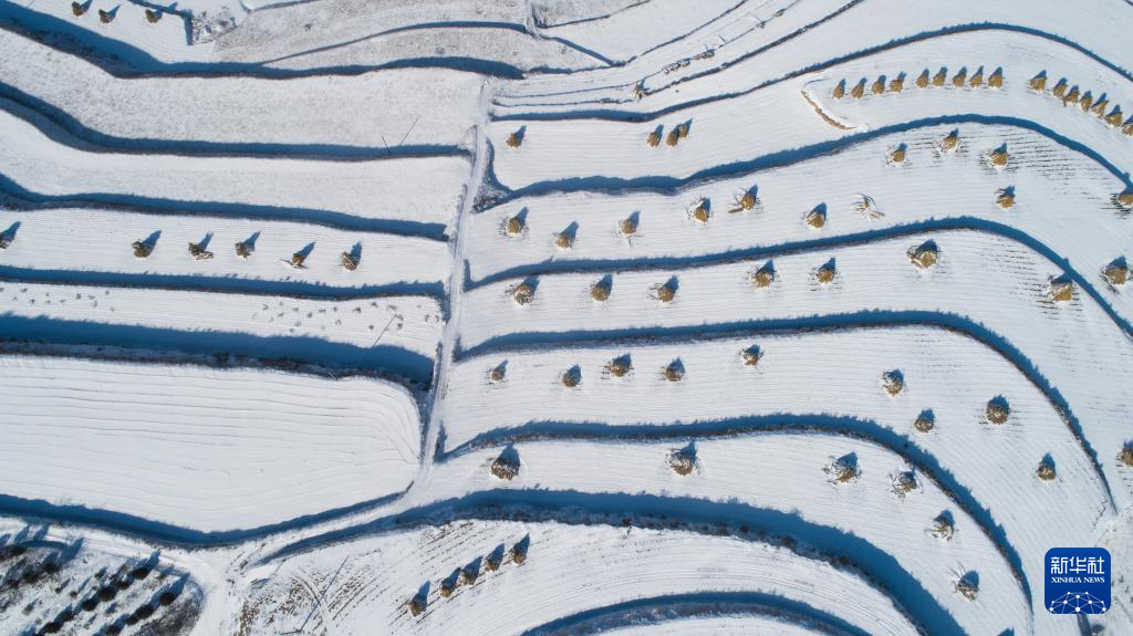 寒潮来袭 多地出现降雪