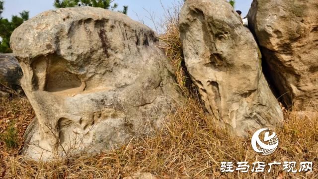 泌阳县王店镇奇石岭：自然奇景中的宝藏之地