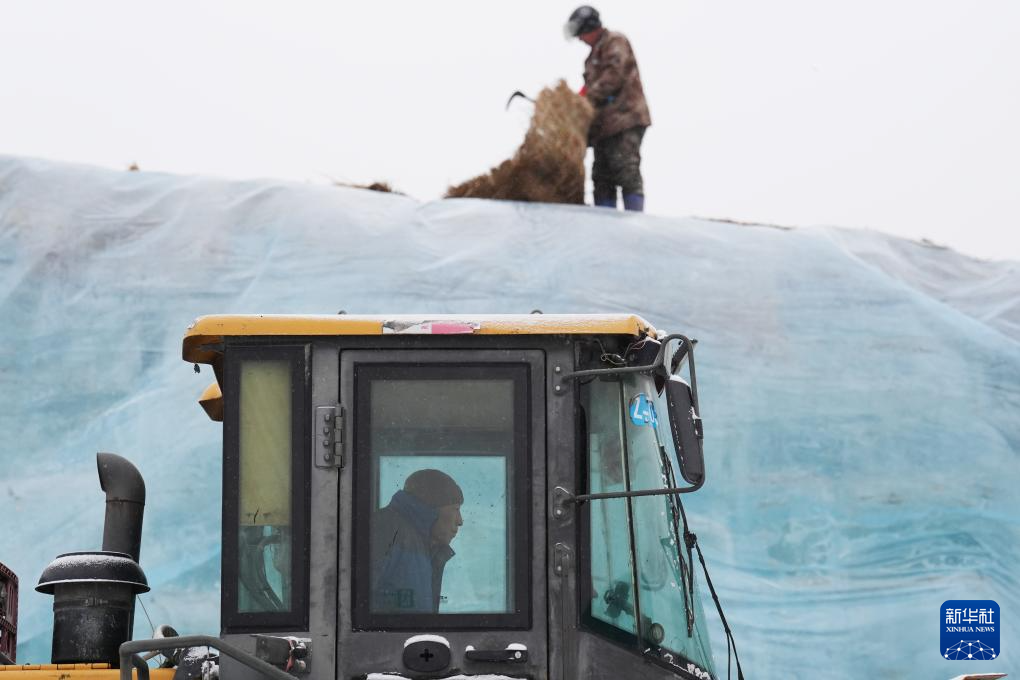 启用存冰：第二十六届哈尔滨冰雪大世界冰建施工将拉开帷幕