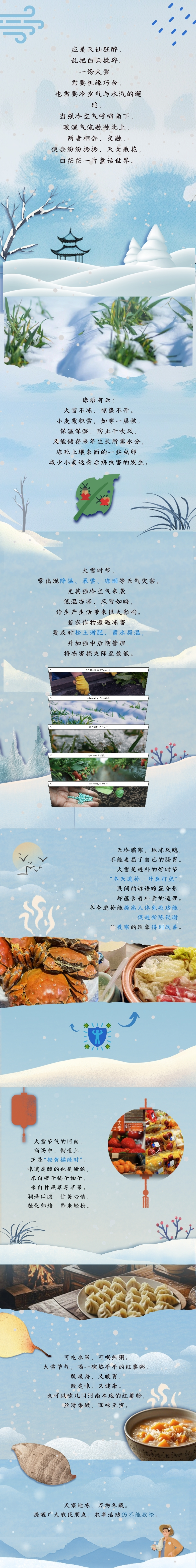 大雪至，寒冬始，万物冬藏待春来