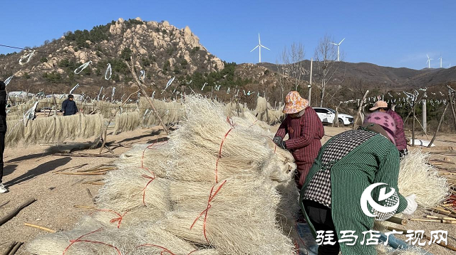 驿城区：红薯粉条“晒”出农家致富路