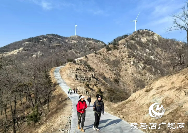 泌阳县付庄乡竹林村至白云山风电路连接线打通