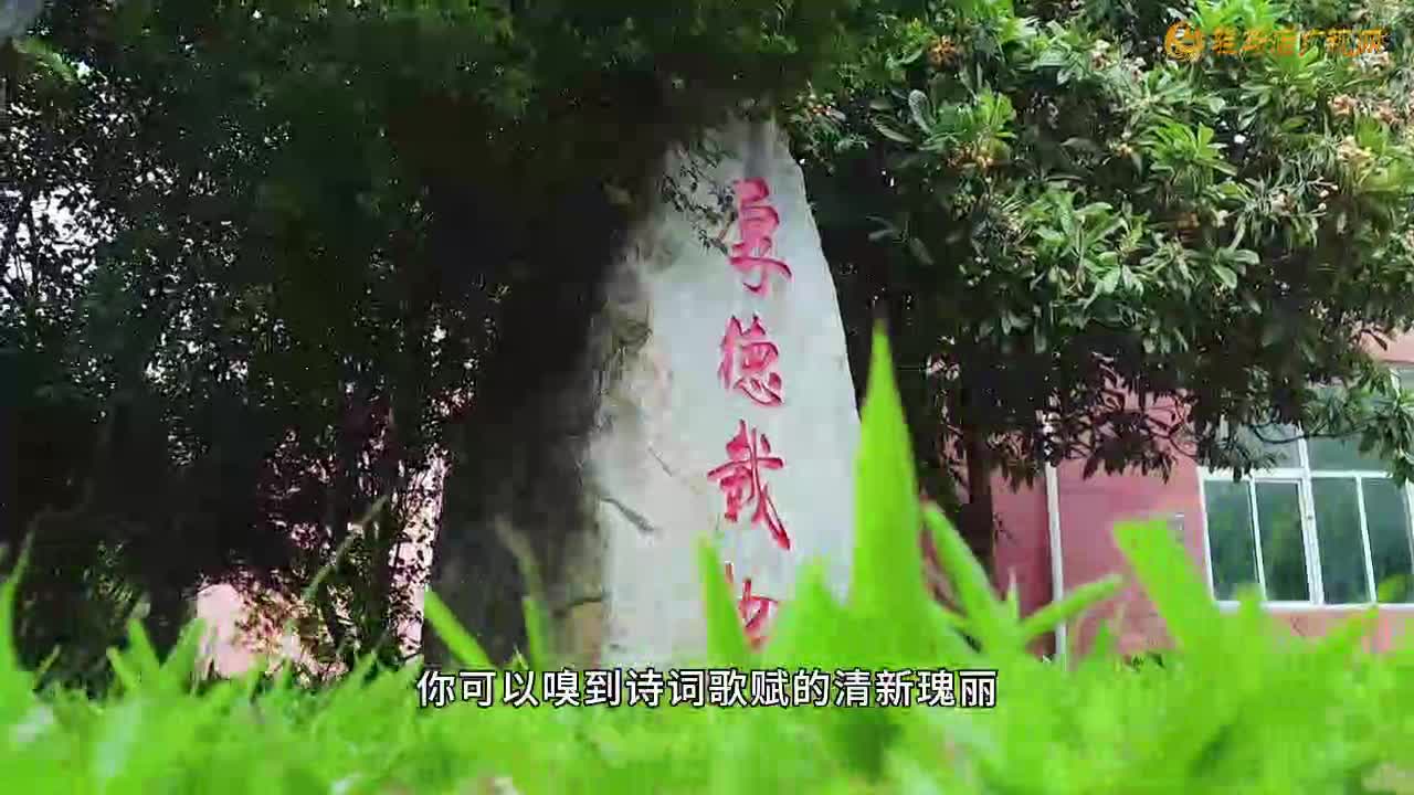 “育”见未来•对话校长丨驻马店市实验中学：以学生为中心 让孩子做课堂的主人