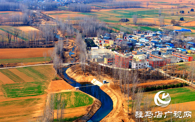 泌阳县黄山口乡：走稳小麦“田管棋”，绘就夏收好“丰”景