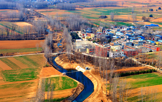 泌阳县黄山口乡：走稳小麦“田管棋” 绘就夏收好“丰”景