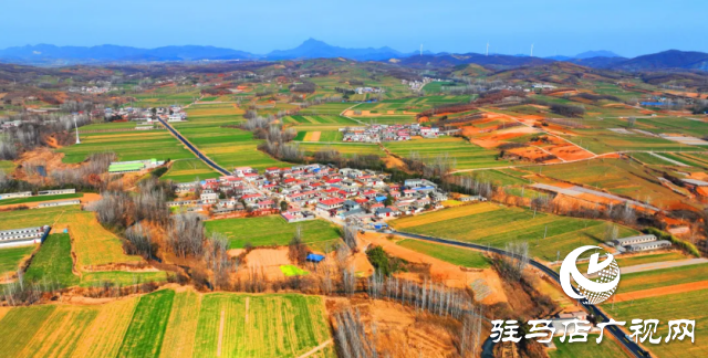 确山县：小山村通了柏油路