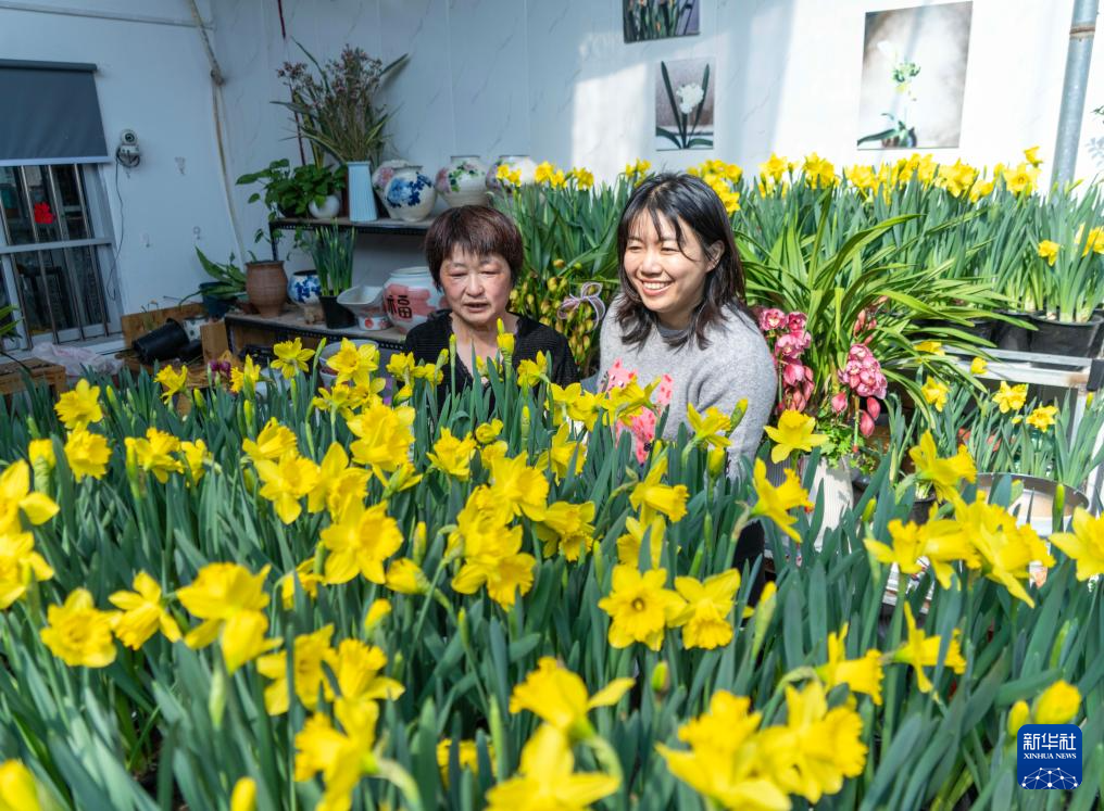 年味渐浓迎春节