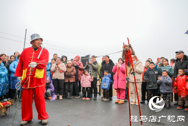 泌陽(yáng)縣2025年角子山馬術(shù)文化節(jié)開(kāi)幕