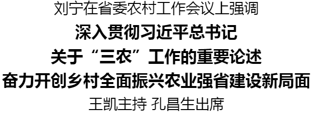 河南省委农村工作会议召开